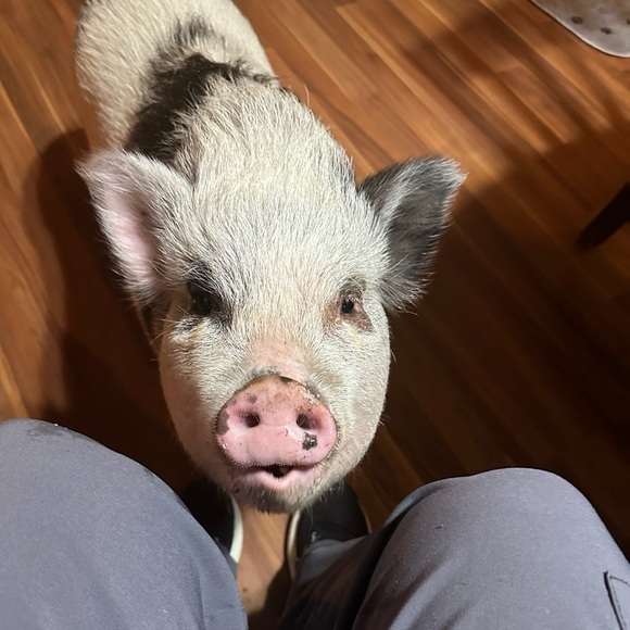 Jewelry - 🎈🎈🎈🎈LIVE LISTING!!!!!🎈🎈🎈🎈